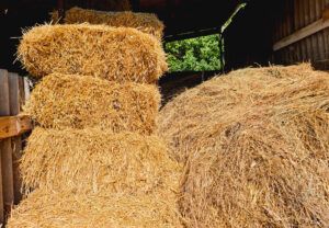 Hay Storage