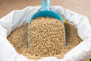 Animal Feeds and Supplies
