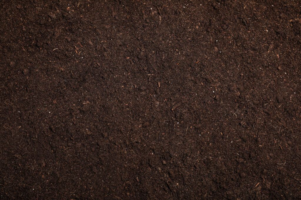 Choose the Right Minerals and Supplements for Soil Conditions