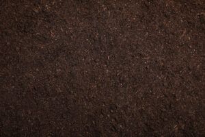 Choose the Right Minerals and Supplements for Soil Conditions