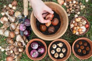 Spring Planting Essentials for Gardens and Small Farms