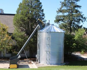 Store Feed and Seed Properly to Prevent Damage