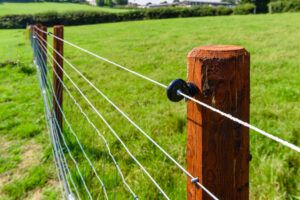 Top Fencing Solutions to Protect Livestock in Maine